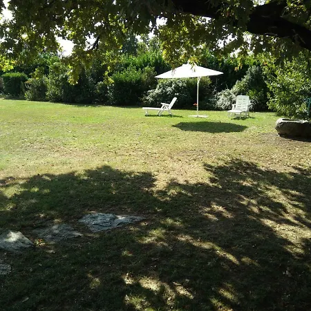 Il Glicine Zimone