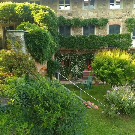 Il Glicine Zimone