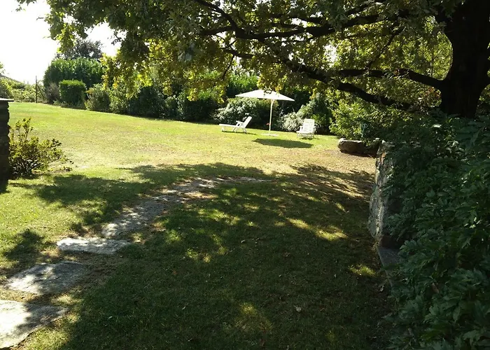 Il Glicine