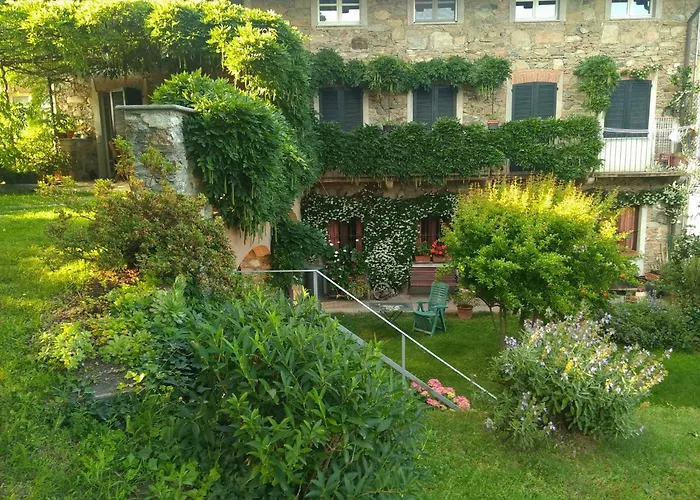 Il Glicine Zimone